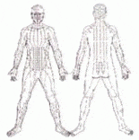 Overview of Qi or Chi | QiVantage